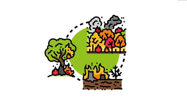 Woodland wildfire concept forest blaze, burning trees, smoke, and environmental disaster caused by extreme heat and drought conditions