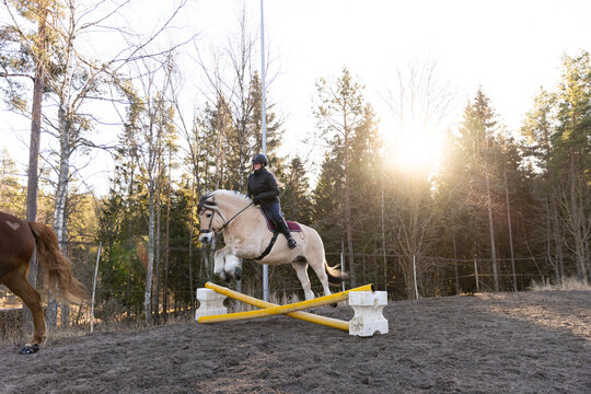 Horse with rider jumping over hurdle in farm