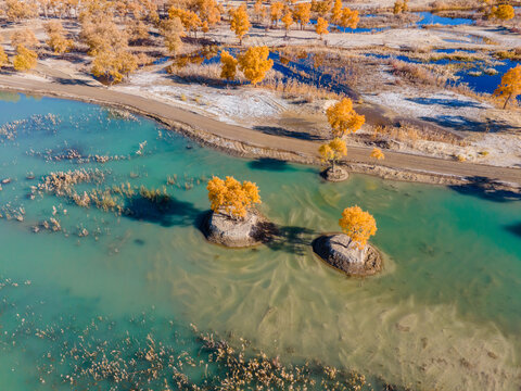 Aerial View of Desert Lake and Populus Euphratica Forest in Tarim River Basin, Yuli, Xinjiang, China