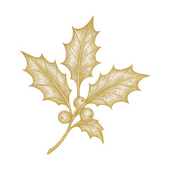 Fototapeta premium PNG Elegant golden holly illustration