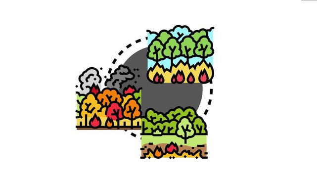 Forest burning crisis depicting the destructive impact of wildfires on nature, symbolizing environmental disaster, climate change, and deforestation challenges