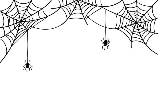 A spooky hand drawn illustration of spider webs and hanging spiders creating a festive halloween background for your creative design projects and seasonal holiday party