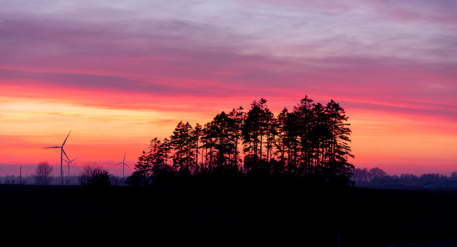 Scenic view of trees in silhouette with wind turbines against moody sky