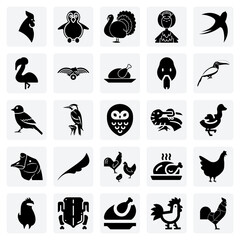 Fototapeta premium Birds Of The World From Various Habitats – Forest Woodpeckers, Waterfowl, And Tropical Toucans For Environmental And Zoological Graphics.