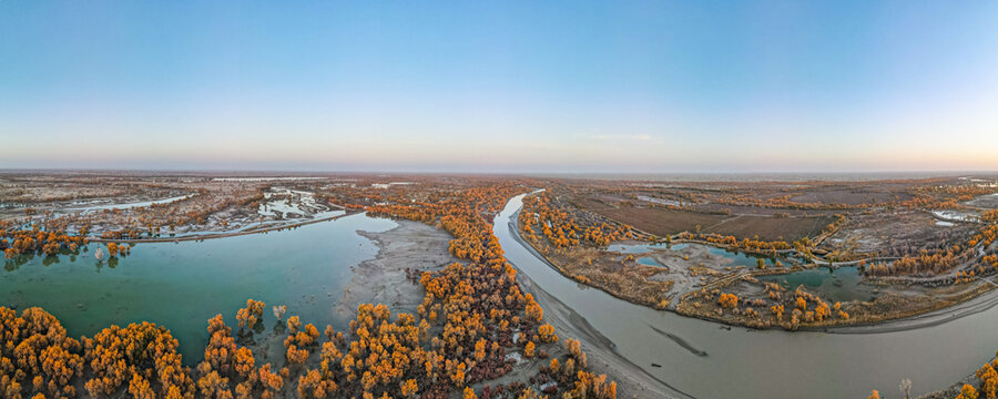 Aerial View of Taklamakan Desert and Tarim River Populus Euphratica Forest in Autumn, Yuli, Xinjiang, China