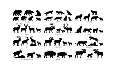 Fototapeta premium Collection of wild animal silhouettes including bears foxes wolves deer reindeer lynx ibex mouflon cougars mountain goats bison and moose