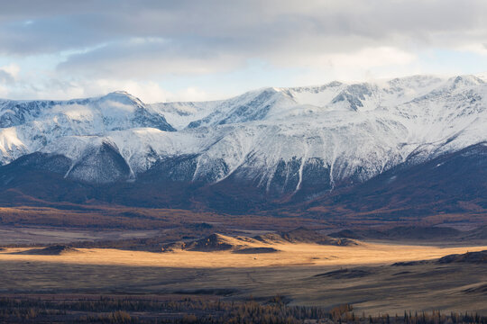 Snow-capped mountains of the North Chui ridge and autumn larch taiga in the valley at sunset. Altai Republic, Russia