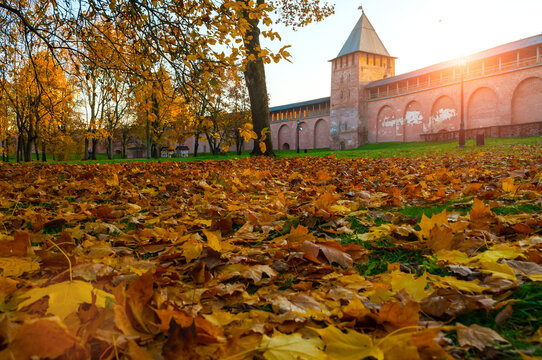 Autumn city sunset landscape - fallen autumn leaves on ground and a medieval fortress wall of Veliky Novgorod Kremlin in background