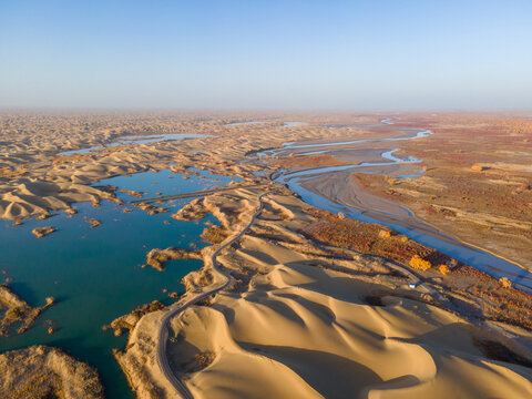 Aerial View of Taklamakan Desert and Tarim River Populus Euphratica Forest in Autumn, Yuli, Xinjiang, China