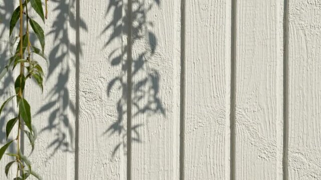 Leafy branch shadow on vertical white wooden plank wall background