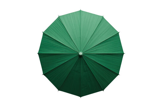 Dark Green Umbrella Top View