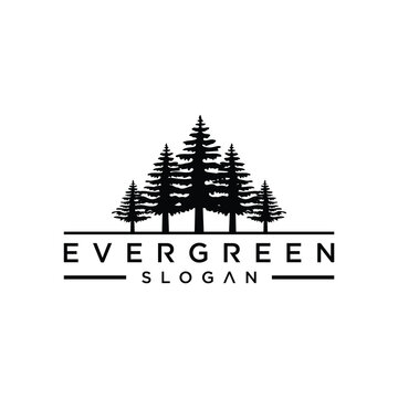 Evergreen Trees Logo Design 5.