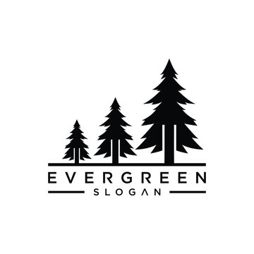 Evergreen Trees Silhouette Logo Design.