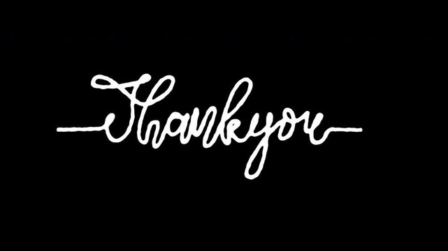 Elegant thank you text animation with continuous one line style. 4k animated typography perfect for greeting videos, social media posts, wedding invitations.