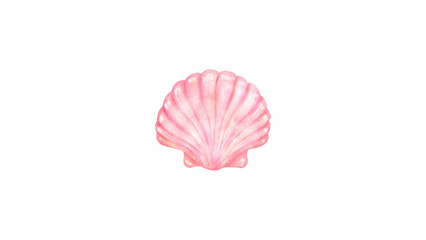 Hand-painted pink watercolor seashell illustration isolated on white background © Hxn_Tariq