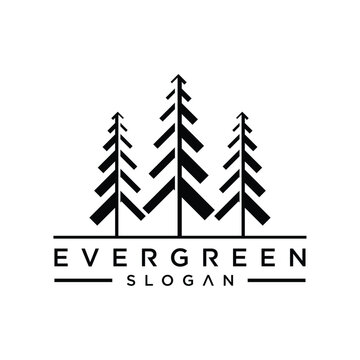 Stylized Evergreen Trees Logo Design.