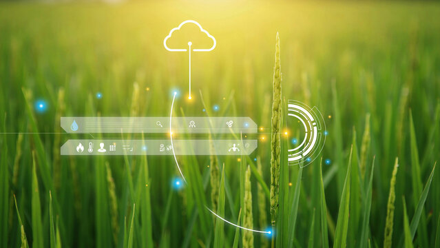 Smart Agriculture Technology Monitoring Crop Growth in Green Fields