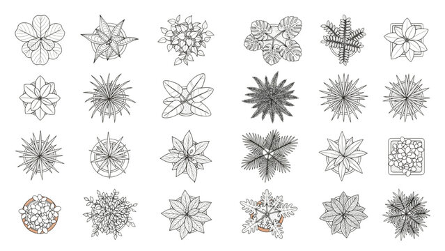 A collection of various plant and flower illustration in top view. Perfect for architectural drafting and landscape design
