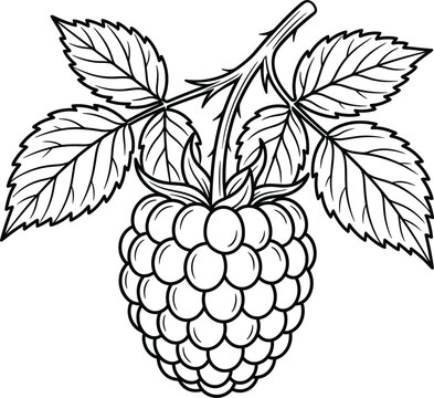 Detailed coloring page of single ripe raspberry with branch and leaves vector illustration.