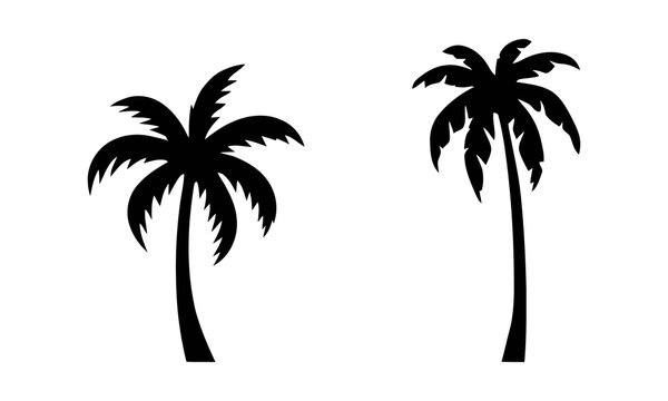 Tropical palm tree silhouettes on white background, black coconut tree icons for summer vacation branding. Minimalist exotic plant graphics, set of two palm tree shapes for travel logo design.