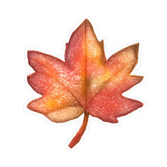 Fototapeta premium PNG Vibrant autumn maple leaf illustration.