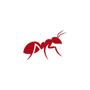 Minimalist red ant vector icon on white background