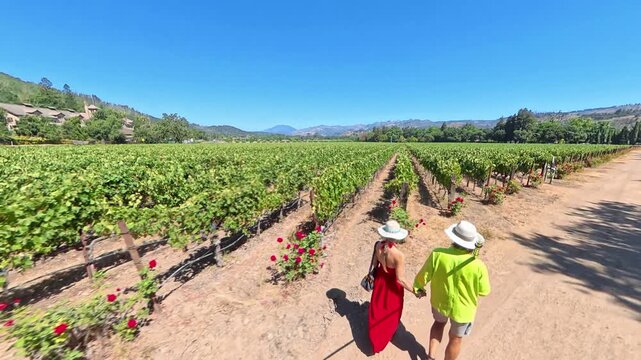 Couple strolls hand in hand through vineyard under the sun enjoying the beautiful landscape in Californias wine country.