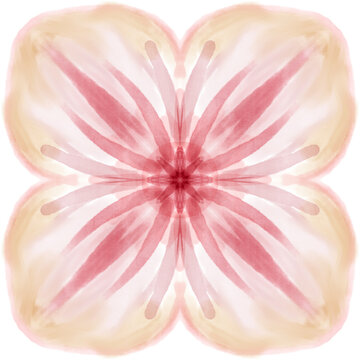 Pink Orange Floral Mandala Watercolor Digital Painting
