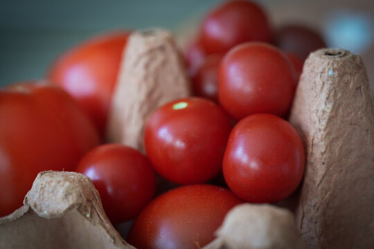 A collection of ripe red homegrown tomatoes