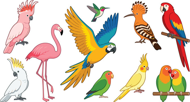 Cute Tropical Exotic Birds Vector Character Set Featuring Colorful Macaw Parrot Flamingo Pink Galah Cockatoo Hummingbird and Lovebirds for Jungle Nature Designs