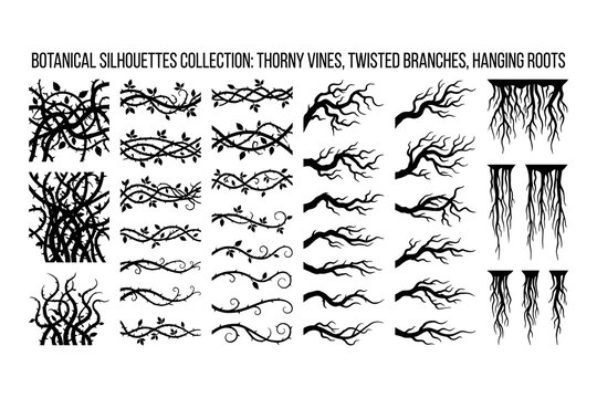 Thorn Vines, Twisted Branches, Hanging Roots Botanical Silhouettes Collection Featuring Thorns, Silhouette