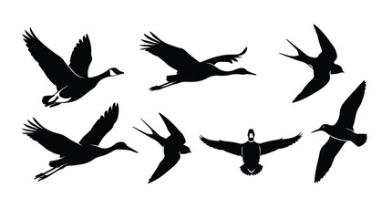 Naklejka premium Flying birds silhouettes collection showing various species in migration across white background
