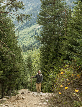 Hiker standing on a mountain trail