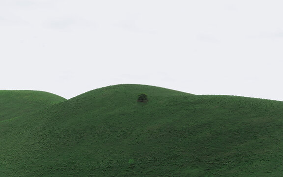 The Realm of the Lone Tree: Green Serenity in Minimalism.
