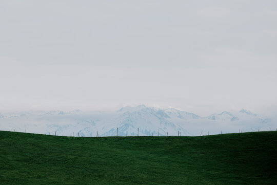Beneath the Snow: The Secluded Green Pasture.