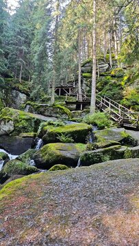 Die Treppe zum gr&uuml;nen Paradies