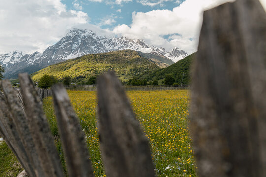 Wildflower meadow framed by rustic fence
