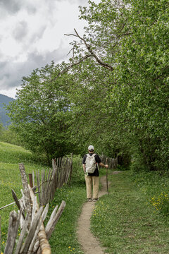 Traveler walking forest path in Svaneti