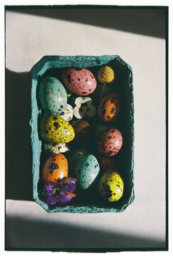 Colorful speckled eggs arranged in a carton with small flowers 