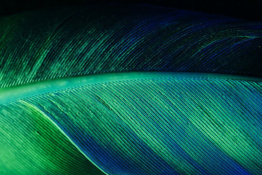 Abstract futuristic texture background with UV light