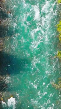 Top down view of fast moving river surrounded by pine forest. Canada 