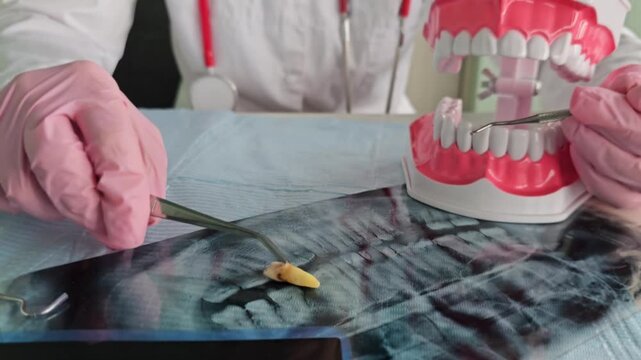 Dental teaching with models and tools during a hands-on session in a classroom
