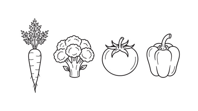 Line drawing of fresh vegetables including carrot, cauliflower, tomato, and bell pepper on white background