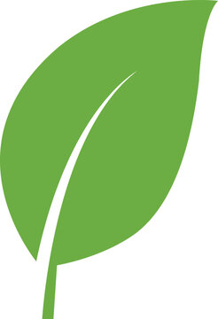 Green Leaf Vector Icon Isolated on White Background for Eco Friendly Design
