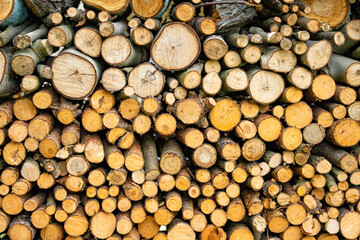 Fototapeta premium Stack of freshly cut logs showing natural wood grain and growth rings. Rustic firewood background with rough bark and varied timber textures.