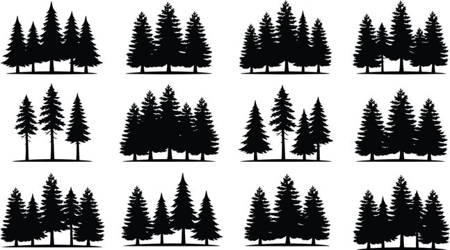 Collection of pine tree silhouettes against a white background