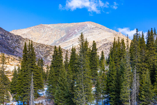 Majestic Mountain Landscape with Evergreen Forest and Snow