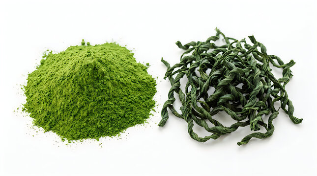 Spirulina powder and dried algae strands on white background for healthy superfood concept