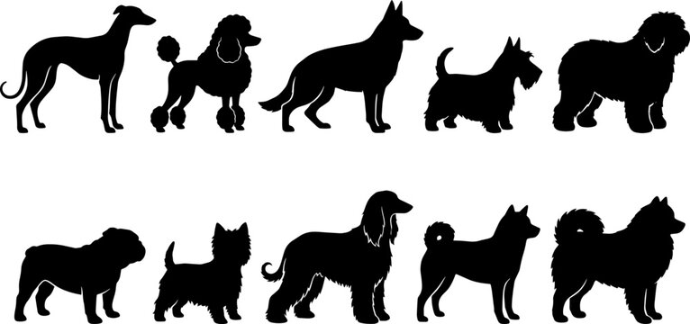 Set of various dog breed silhouettes