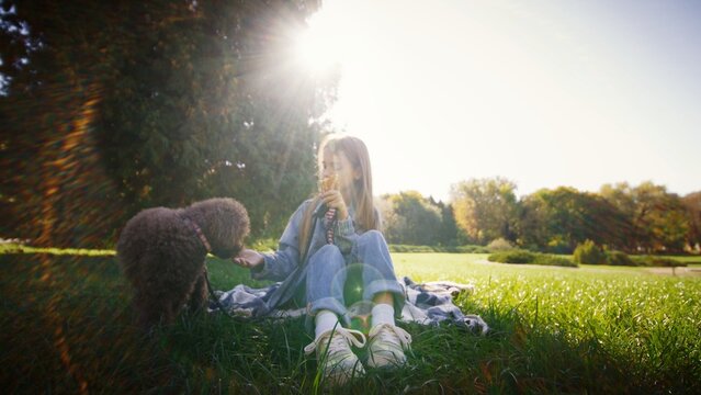 Little Caucasian girl sitting on blanket in green park feeding brown fluffy dog while holding ice cream cone. Child spending sunny afternoon outdoors playing with pet under bright sunlight.